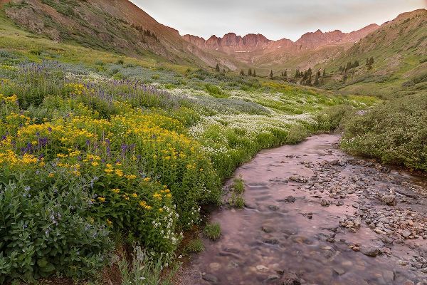 Jaynes Gallery 아티스트의 USA-Colorado Mountain landscape with wildflowers and stream작품입니다.